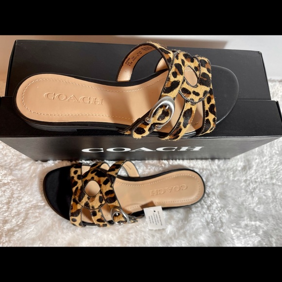 Coach - Picture 3 of 10